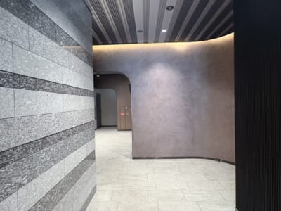 レジーナクリニック 通院証拠